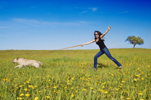 Dog Pulling on Leash How to Stop Dog From Pulling on Leash