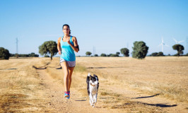 how much exercise does a puppy need high energy exercise needs archives nation how much exercise does a puppy need high energy exercise needs archives nation