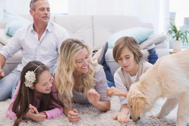 how to find a breeder finding a breeder nation how to find a breeder finding a breeder nation