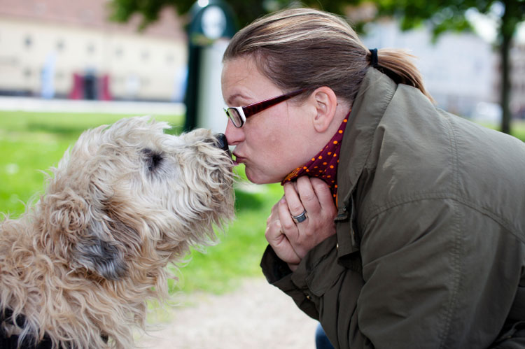 Training Your Dog to Give Kisses Training Your Dog to Give Kisses