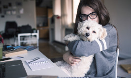 4 Tips To Make Working From Home With Dogs Easier