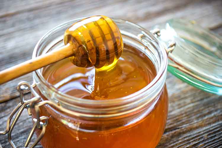 Is Honey Good For Dogs? Honey for Dogs