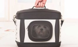 Portable Dog Carriers Keep Your Dog Safe And Your Shoulders Pain-Free