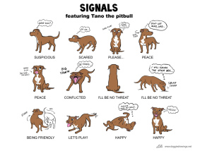 Dog Feelings Chart