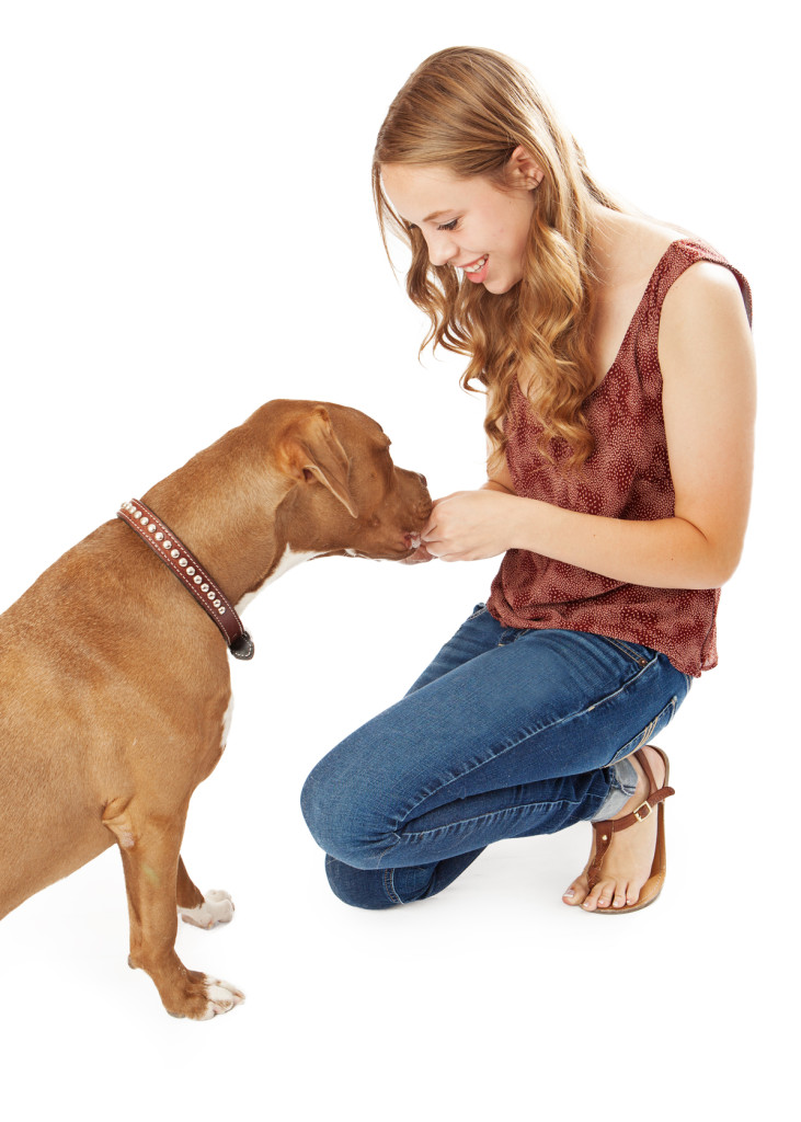 Teaching Dogs SelfControl