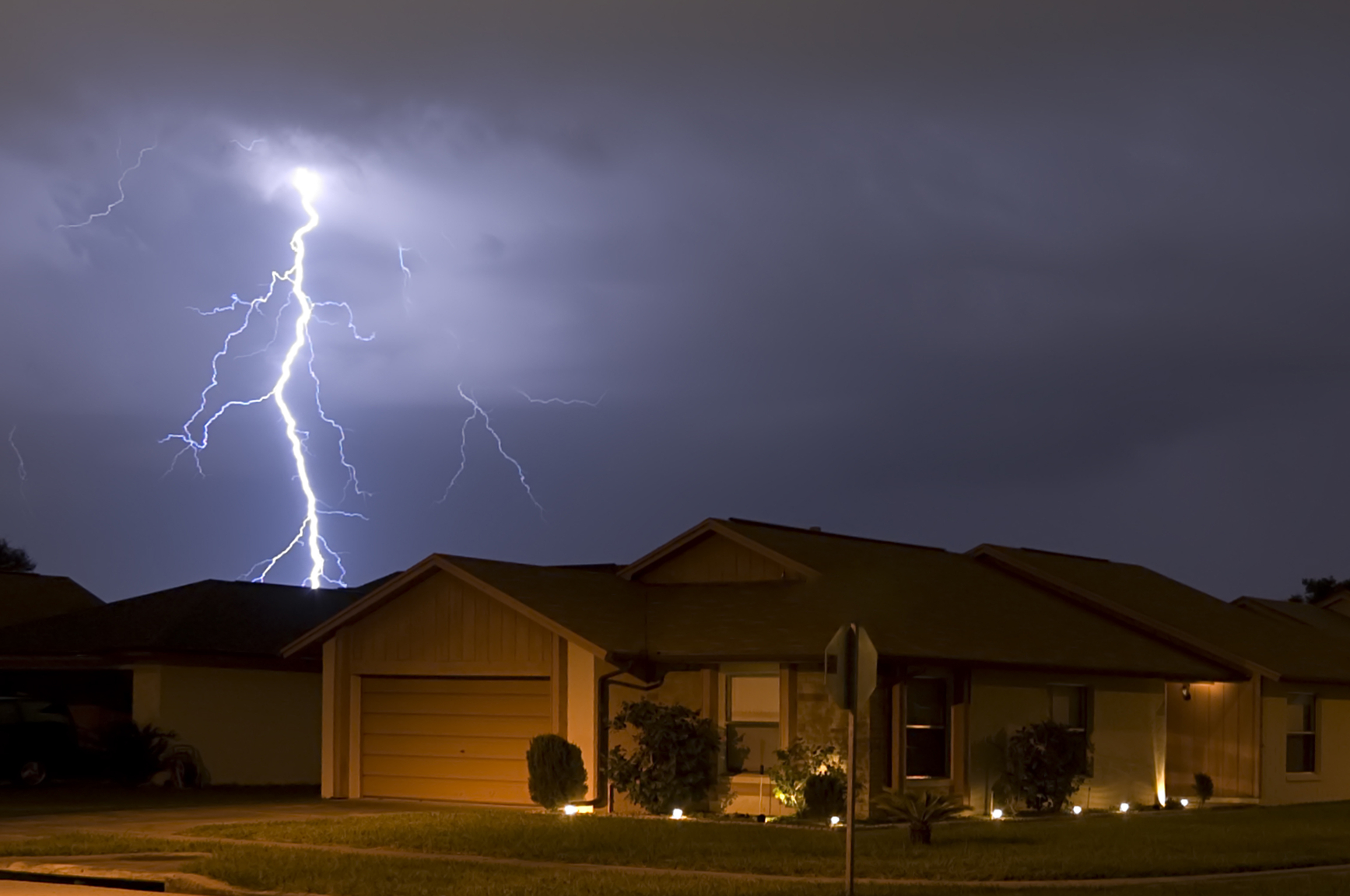 do dogs attract lightning