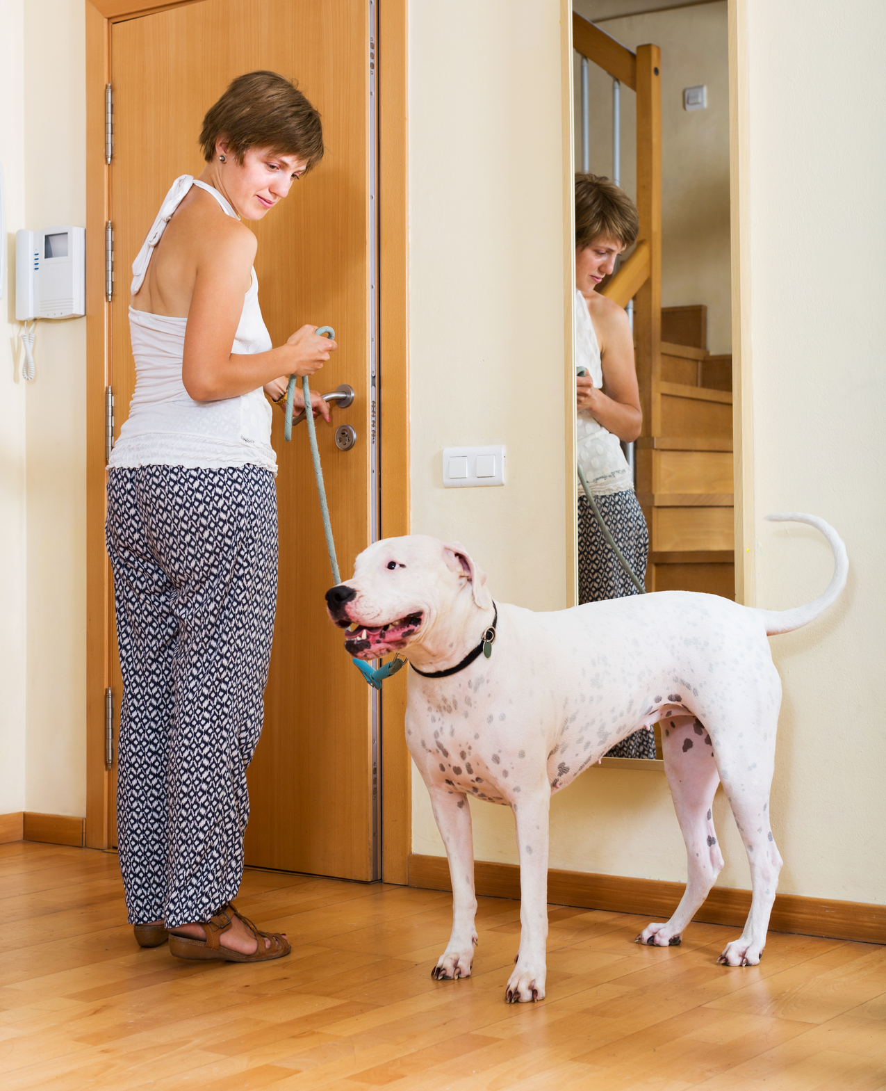Training Dogs Polite Greeting Behavior Dog Training Nation