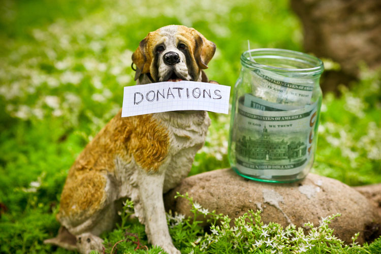 best charities to donate to 2016 watchdogs best charities to donate to 2016 watchdogs