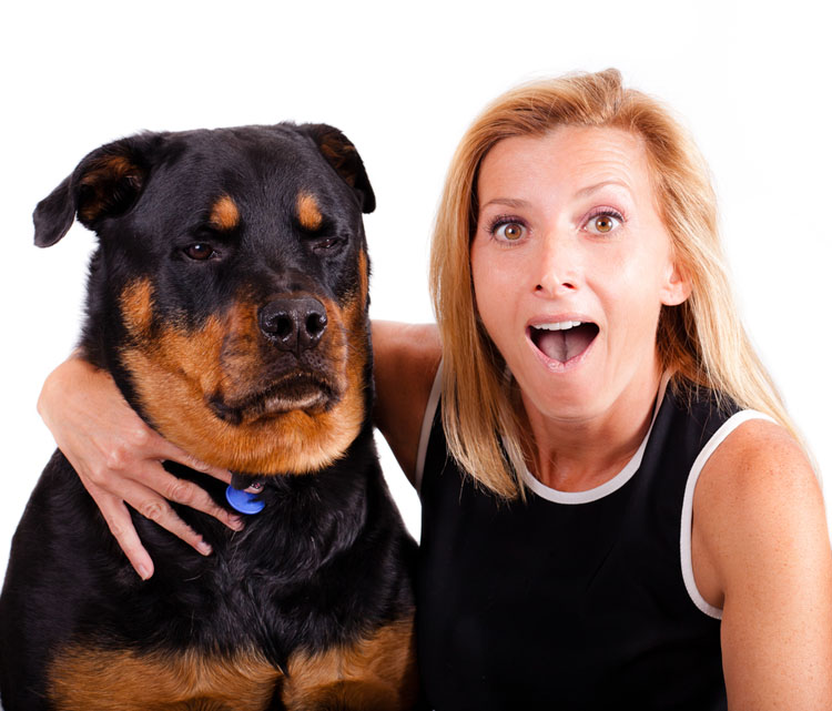 Dog Freaks Out Over Collar Touches Dog Training Nation