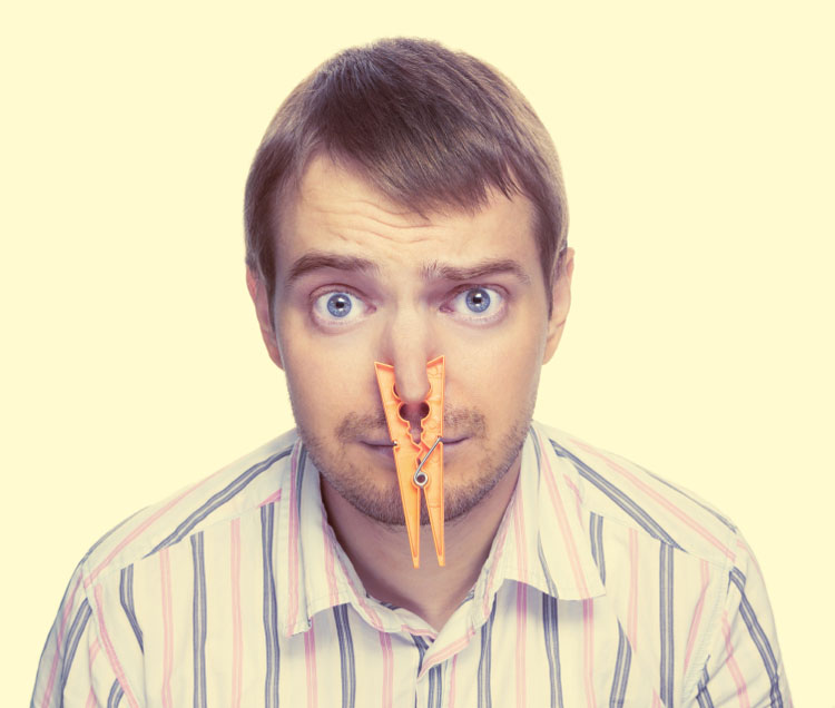 How to Reduce Dog Farts Dog Training Nation