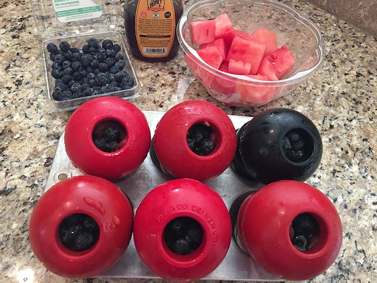 food to put in kong for puppy