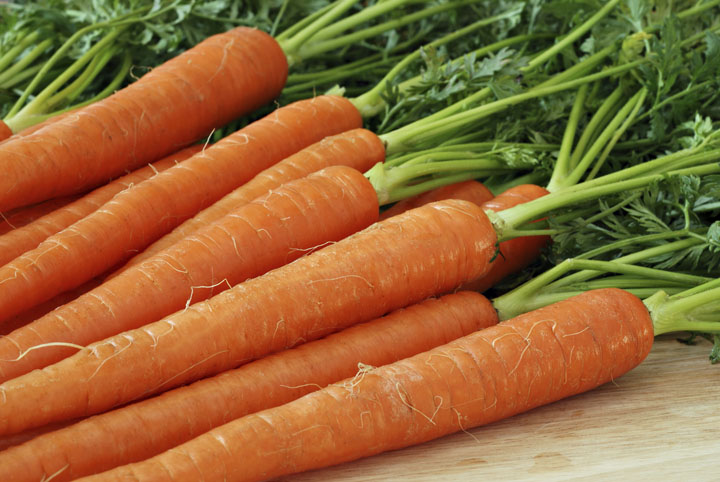 Can My Dog Have Raw Carrots Can My Dog Have Raw Carrots