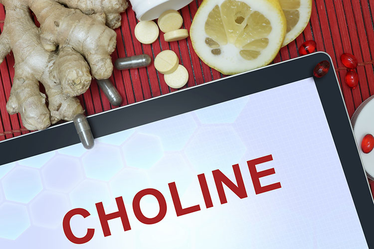 Choline Supplements For Dogs Dog Training Nation