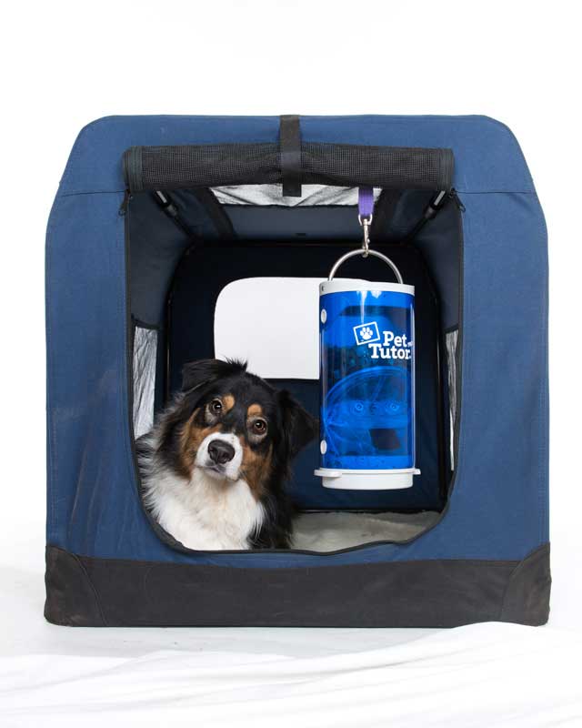 Pet Tutor Dog Treat Dispenser Review