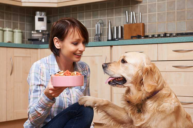 How Long Can Your Dog Go Without Eating?