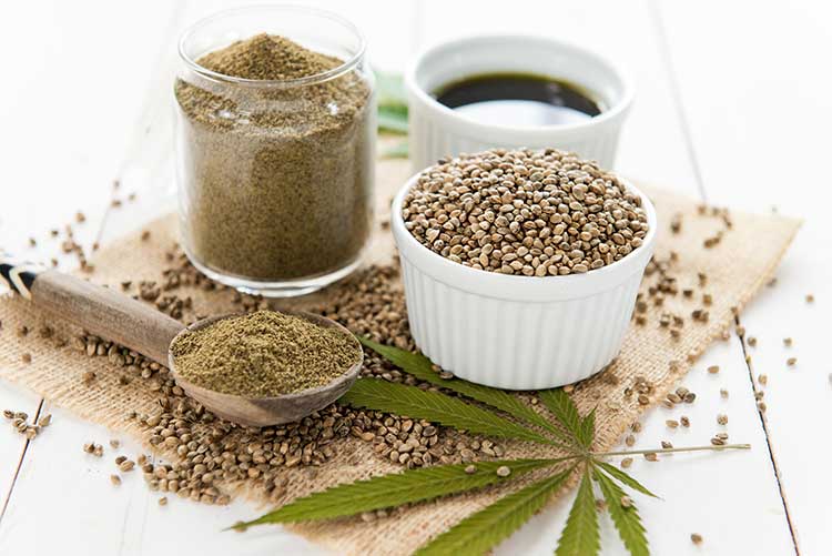 hemp-oil-for-dogs-overview.jpg