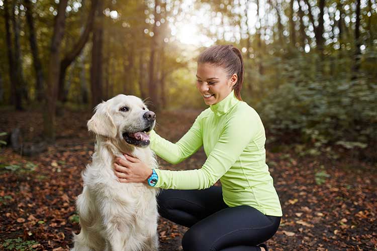 Closed Fist Training For Dogs Closed Fist Training For Dogs