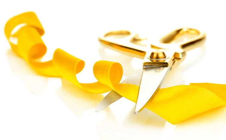 The Meaning Behind Those Yellow Ribbons On Dogs Yellow Dog Project